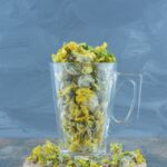 Czystek zioła - odkryj jego niezwykłe właściwości zdrowotne 823-1