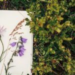 Zioła na pamięć poprawiają zdolności poznawcze każdego dnia 194-1