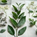 Jakie zioła obniżają ciśnienie i wspierają zdrowie serca 338