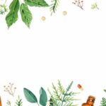 Zioła polne - Odkryj ich zdrowotne tajemnice i zastosowania 667