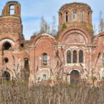 Eko zioła na zdrowie: odkryj ich niezwykłe właściwości 725