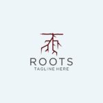 Jakie zioła na zatoki wspierają Twoje zdrowie? 904