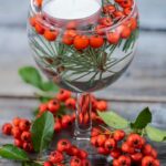 Jarzębina liście 5 kluczowych cech i korzyści 147