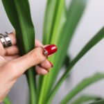 zioła na cholesterol najlepsze naturalne metody obniżenia poziomu 229