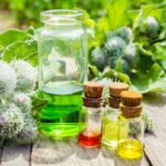 Zioła na prostatę naturalnie wspierają zdrowie mężczyzn 332