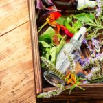 Jakie zioła obniżają ciśnienie skutecznie i naturalnie? 572