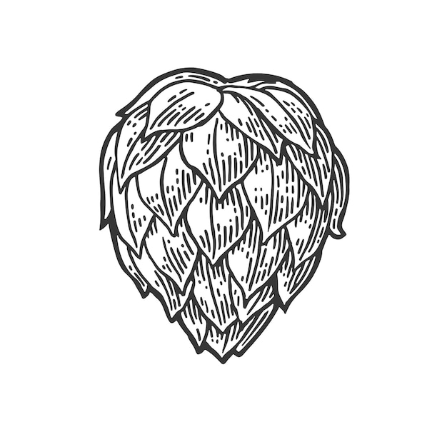 Chmiel szyszki naturalne źródło ukojenia i zdrowia