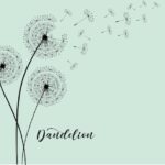 Wyciąg z mniszka lekarskiego naturalnie wspiera zdrowie organizmu 63