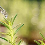 Zioła regulujące hormony żeńskie naturalnie poprawiają równowagę 75-1