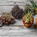 Jakie zioła do leczo gwarantują wyrazisty smak 765