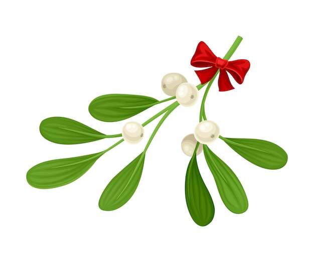 Ziele jemioły naturalnie poprawia zdrowie układu krążenia