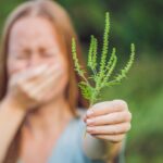 Zioła na alergie naturalnie łagodzą objawy skutecznie 959